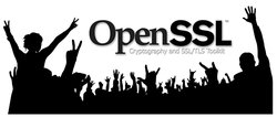 Уязвимость Heartbleed OpenSSL и что это означает для вашей безопасности
